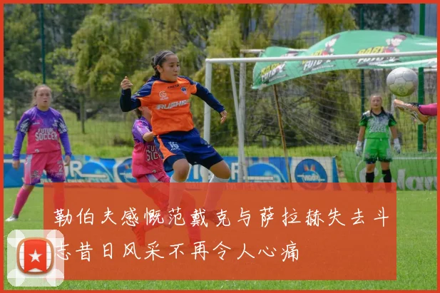 勒伯夫感慨范戴克与萨拉赫失去斗志昔日风采不再令人心痛